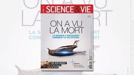 Voici quelques pages de Science & Vie n°1211 "On a vu la mort"