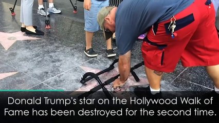Trump's Hollywood star demolished by man with pick axe