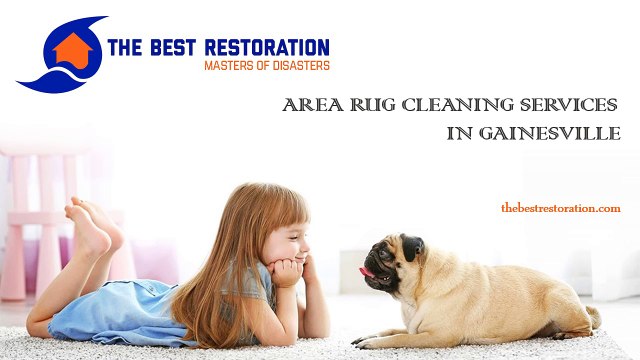 Best Area Rug Cleaning Services in Gainesville - The Best Restoration