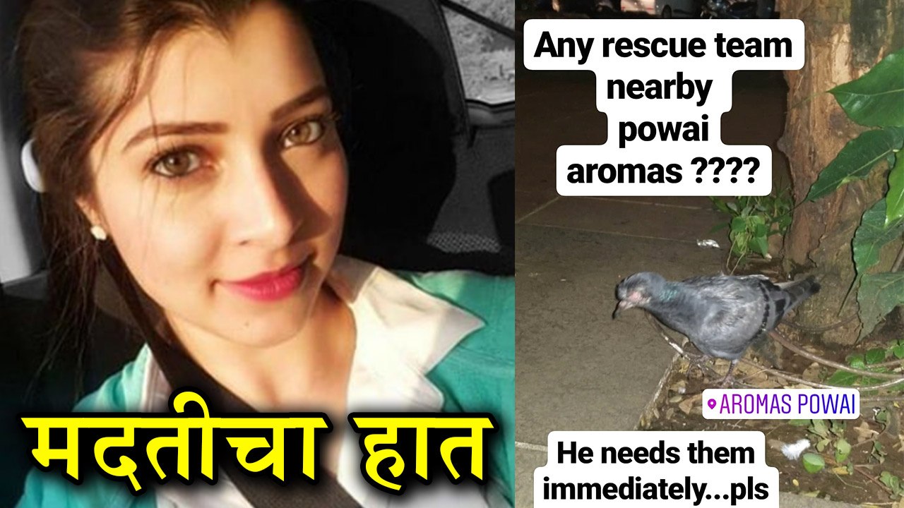 Tejaswini Pandit | अभिनेत्री तेजस्विनी पंडितने...
