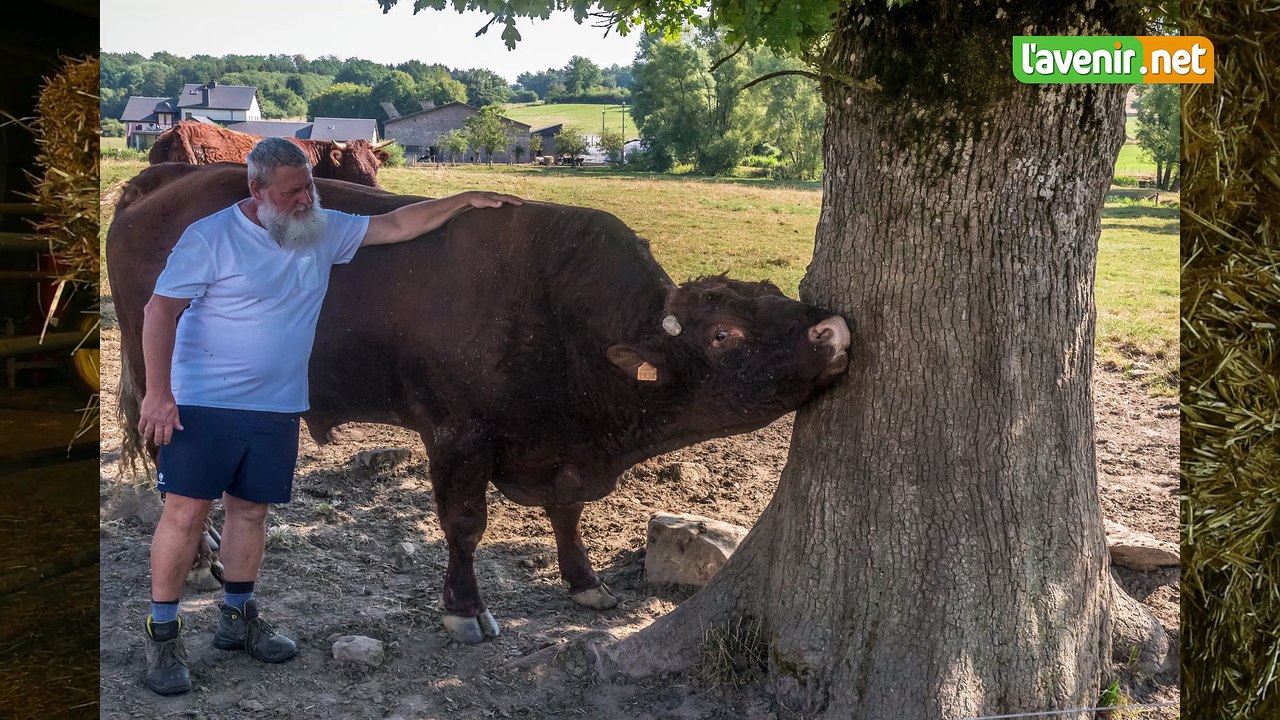 Jean-Marie Meer, éleveur à Metzert