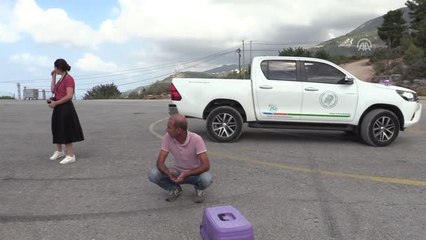 Tedavi Edilen İki Baykuş Doğaya Bırakıldı