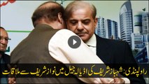 Shahbaz Sharif's half-hour meeting with Nawaz Sharif in Adiala Jail