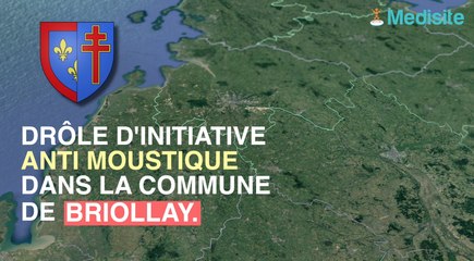 Ce maire publie un arrêté interdisant les moustiques dans sa ville