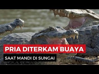 Mandi di Sungai, Pria Ini Tewas Dimangsa Buaya