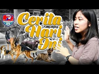 Selain Lucu, Anjing K9 BNN ini Juga Cerdas dan Cekatan Lho. #CHI