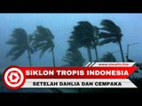 Setelah Cempaka dan Dahlia, Bunga Apa yang Akan Jadi Nama Siklon Tropis di Indonesia?