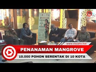 1,8 Juta Lahan Mangrove Kritis, 10.000 Pohon Akan Ditanam Serentak di 10 Wilayah