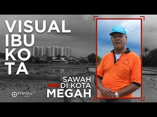 Elegi Sawah di Kota Megah - Visual Ibu Kota
