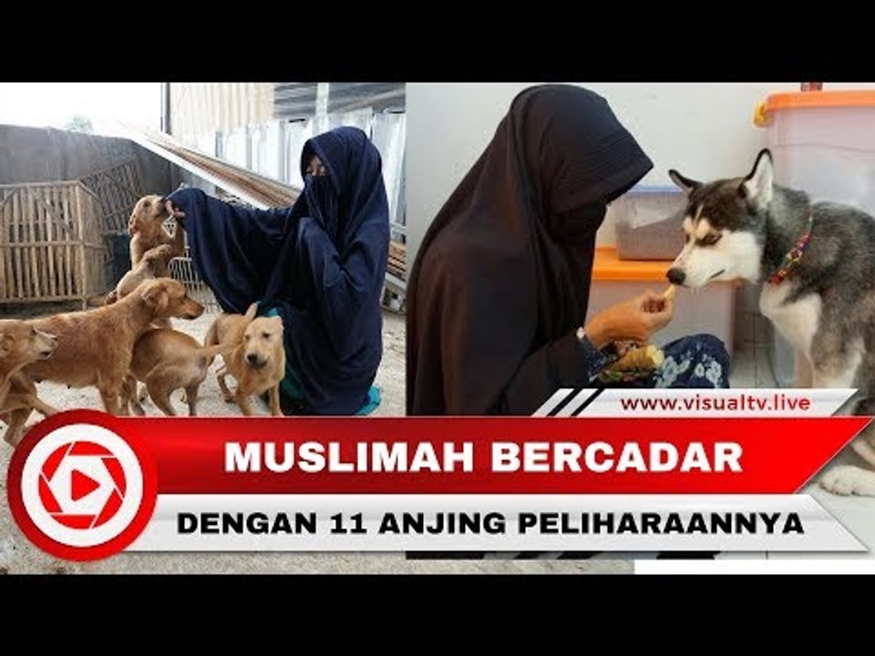 Fakta Menarik Muslimah Becadar yang Pelihara Belasan Anjing