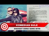 Komedian Sule Digugat Cerai, Sang Istri Tuntut Hak Asuh Anak