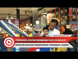 Manfaatkan Libur Lebaran, Presiden Jokowi Momong Cucu di Bogor