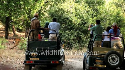 Humans and nature- People  participation in Indian wildlife conservation