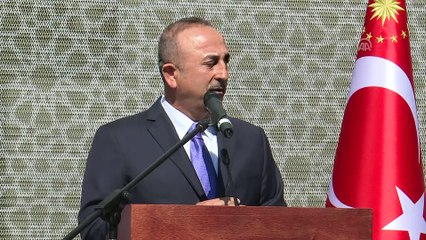 Bakan Çavuşoğlu: 'Hedefimiz Afrika'daki büyükelçilik sayısını 50'ye çıkarmak' - JOHANNESBURG