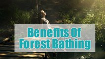 Health-boosting Benefits Of Forest Bathing Or Shinrin-yoku | Boldsky