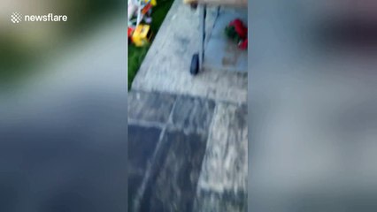 Irishman beats heatwave by taking refuge inside fridge