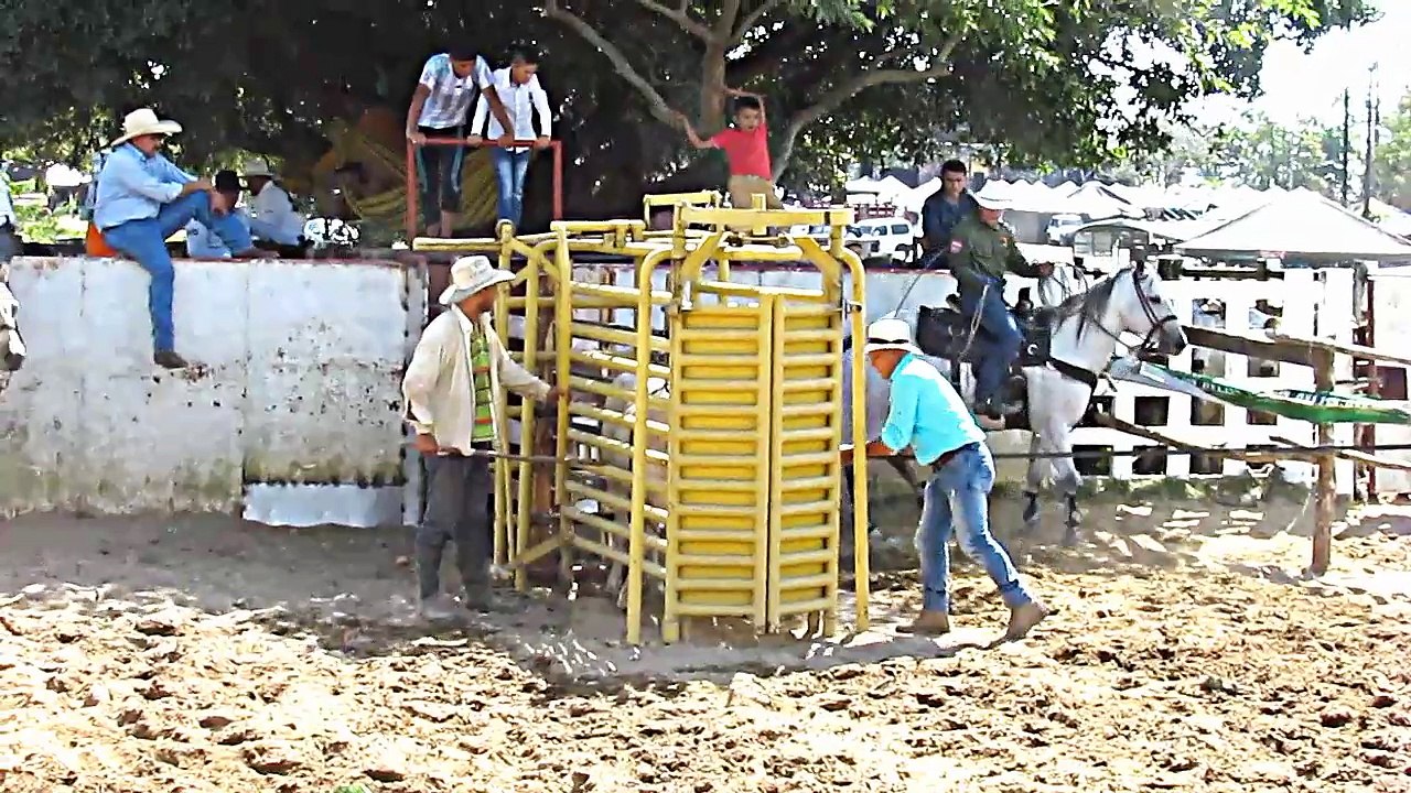 2ª VALIDA DE VAQUERIA POR PAREJAS