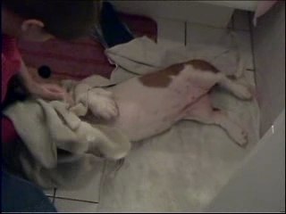 Gigie sortie de bain