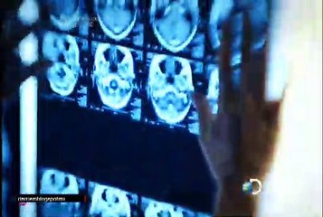 T7E2 AUTOPSIAS DE HOLLYWOOD Corey Heim