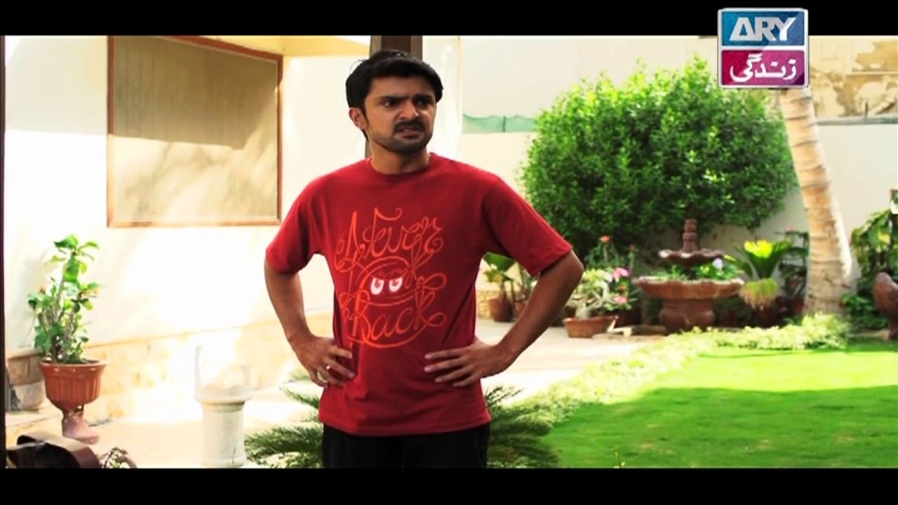 Mein Mehru Hoon Ep 199 & 200 - on ARY Zindagi in High Quality 26th July 2018