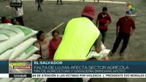 El Salvador: extrema sequía mantiene en alerta a varios departamentos