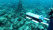 Aqua2 Underwater Robot Navigates in a Coral Reef - Barbados