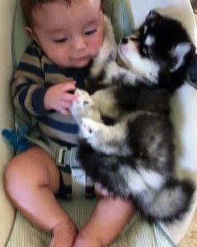 Bébé et bébé chien dans le berceau... Le truc le plus mignon !