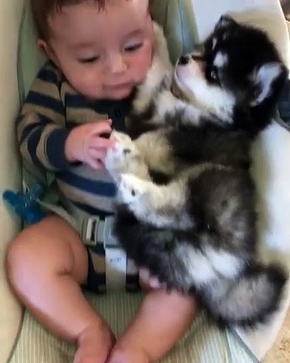 Bébé et bébé chien dans le berceau... Le truc le plus mignon !