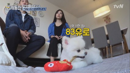 여권 있는 강아지 ‘송이’의 독일 라이프☆