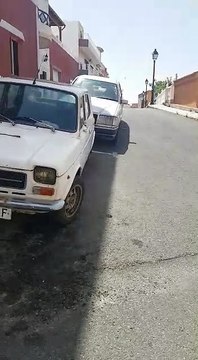 Culebra real de California en Gran Canaria