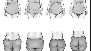 What Body Type and Belly Shape Are You_  How Hormones Distort The Way Look