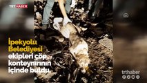 Telle sarılıp çöpe atılan köpeğin imdadına belediye ekipleri yetişti