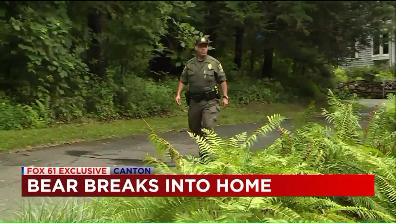 Bear Breaks into Connecticut Home Through Kitchen Window