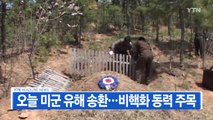 [YTN 실시간뉴스] 오늘 미군 유해 송환...비핵화 동력 주목 / YTN