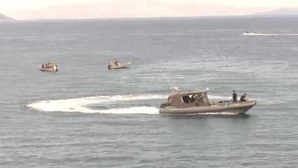 Autoridades gregas têm "sérias suspeitas" de fogo posto