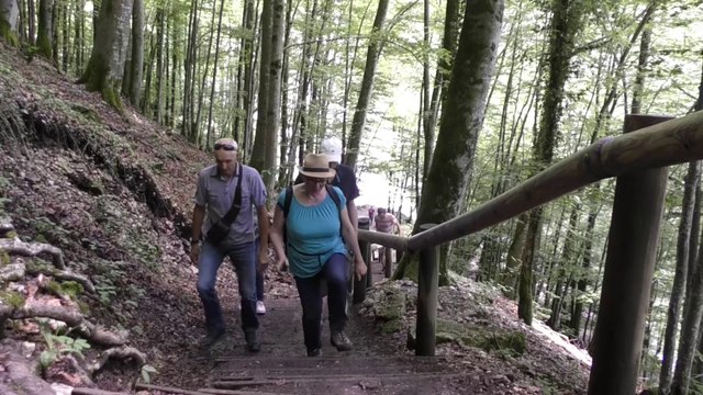Jurassique Classe : les cascades du Hérisson