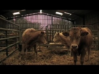 hey hey my my - I need some time