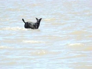 Vacaciones en Punta Rasa en diciembre 2007 🌊