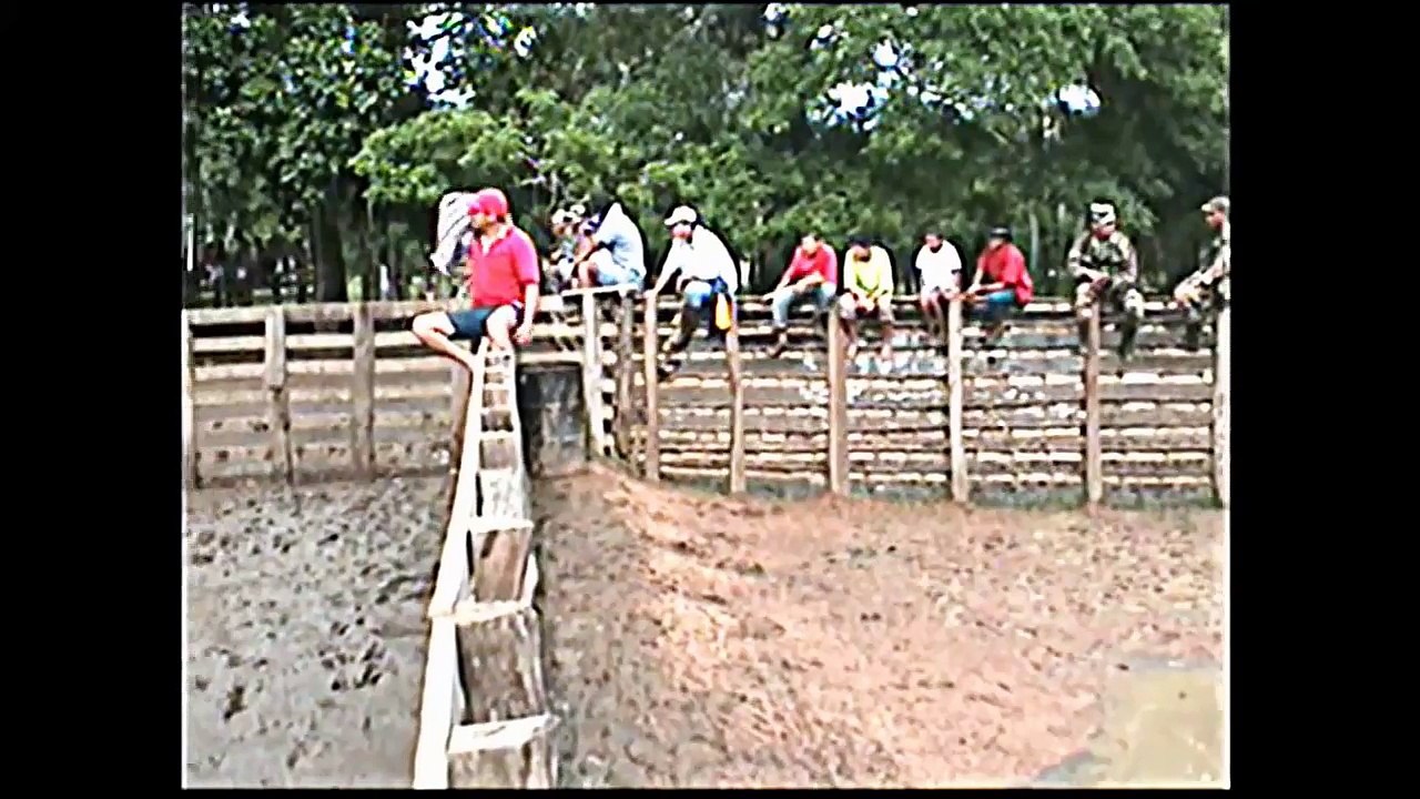 TOREO CRIOLLO EN EL CORRAL