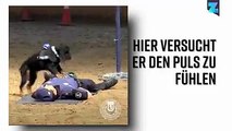 Polizeihund Poncho beeindruckte die ganze Welt mit seinem Einsatz. Aber könnte ein Tier wirklich Herzmassage leisten?