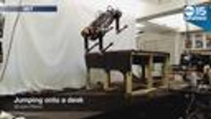 BLIND ROBOT? New galloping robot can climb without being able to "see" - ABC15 Digital