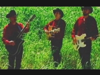 Miguel Y Miguel - Nido Caído