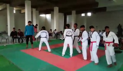 Taekwondo Demonstration