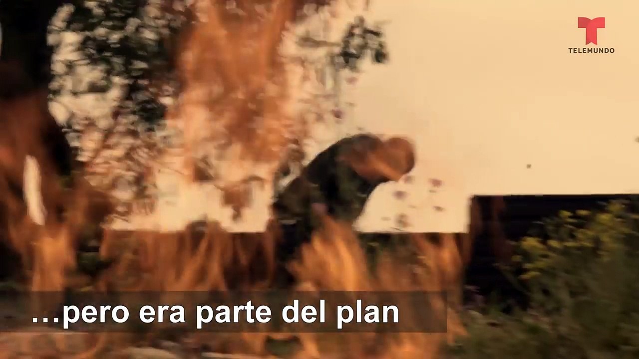 Señora Acero 4 | Lo mejor de la semana: El pasado llama a la puerta de Phillips | Telemund