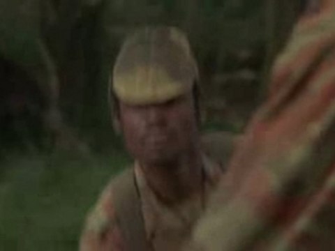 Gorilles dans la brume-2