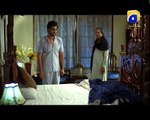 AMAZING DIALOGUE |Mohabbat_Tum_Se_Nafrat_Hai|_-_Episode_1___Har_Pal_Geo.mp4-|PK SERIALS|