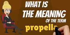 What is PROPELLANT? What does PROPELLANT mean? PROPELLANT meaning, definition & explanation
