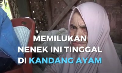 Memilukan, Nenek Ini Tinggal di Kandang Ayam