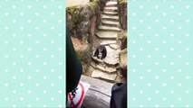 Monkey throws poop at Grandma! - Funny 2017_13-06-2018_1