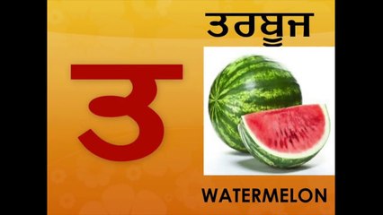 Learn Punjabi for Kids 🇮🇳 | Fun YouTube Classes for Beginners (Lessons 5-8)